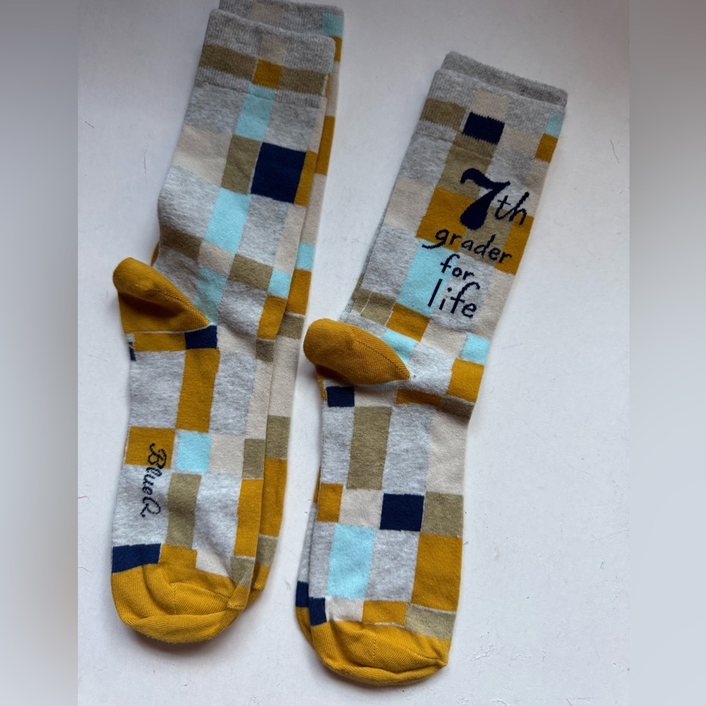 Blue Q Pair of Socks